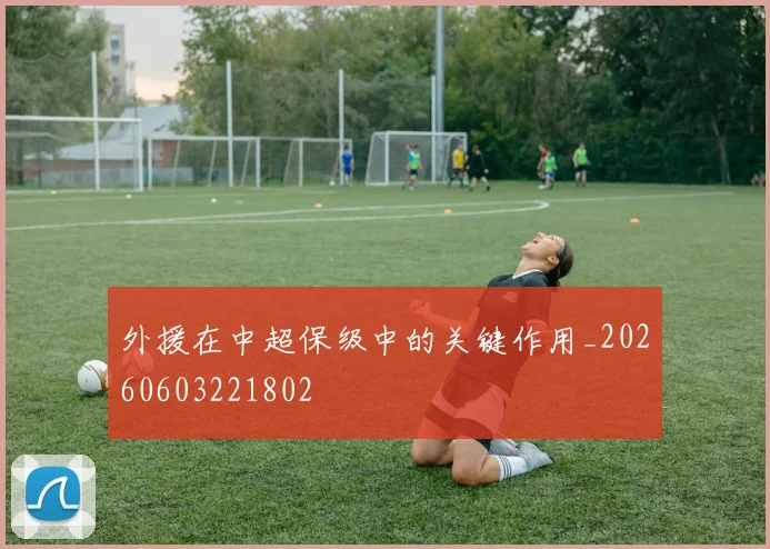 外援在中超保级中的关键作用_20260603221802
