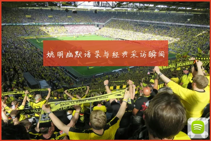 姚明幽默语录与经典采访瞬间